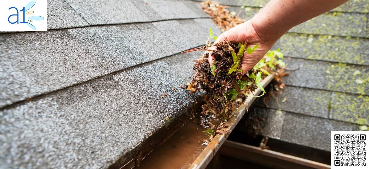 A1 House Washing Gold Coast